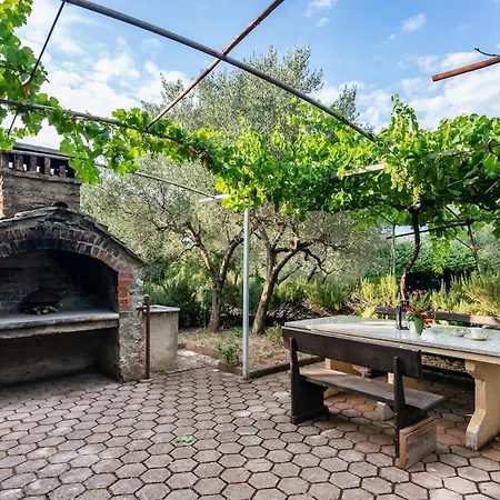 Truffle Baroness For 4-pool & Big Garden Ρόβινι