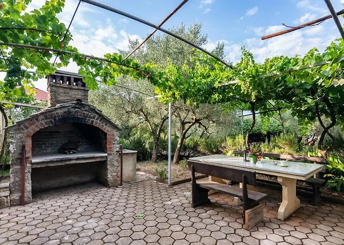 Truffle Baroness For 4-pool & Big Garden Ρόβινι